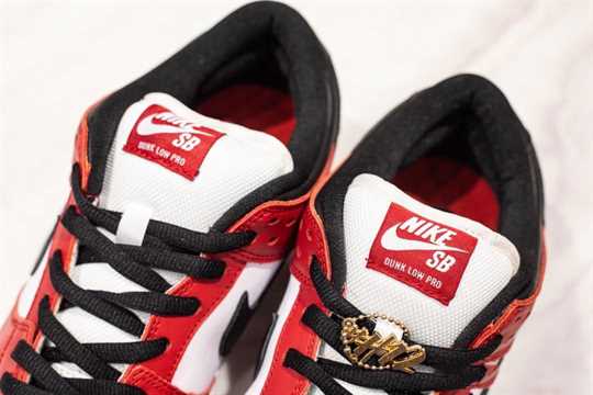 Nike SB Dunk Low - Chicago