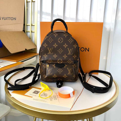 LV Palm Springs Mini Backpack - Brown