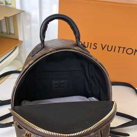 LV Palm Springs Mini Backpack - Brown