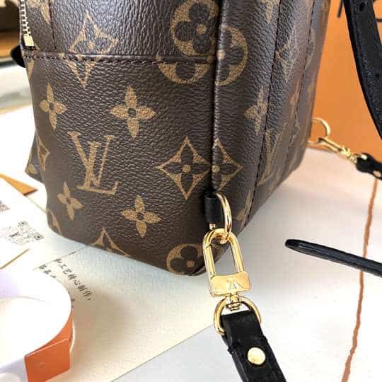 LV Palm Springs Mini Backpack - Brown