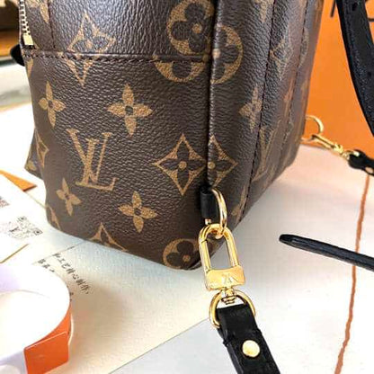 LV Palm Springs Mini Backpack - Brown