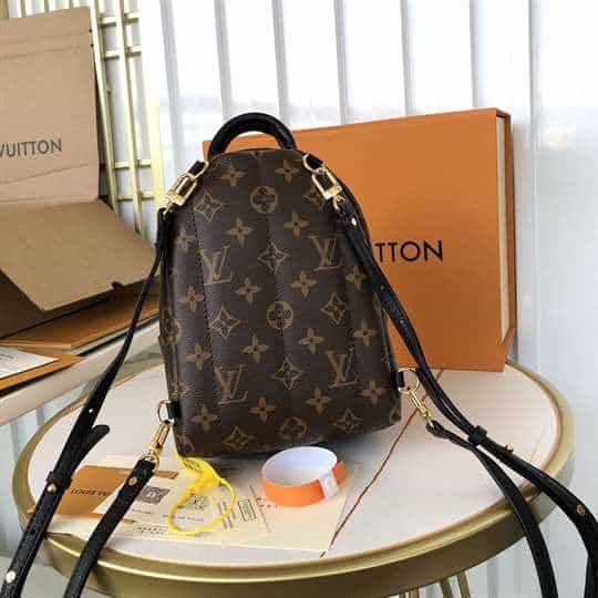 LV Palm Springs Mini Backpack - Brown