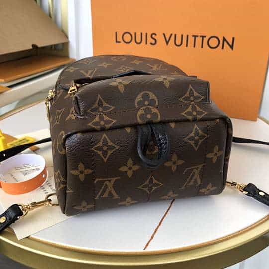 LV Palm Springs Mini Backpack - Brown
