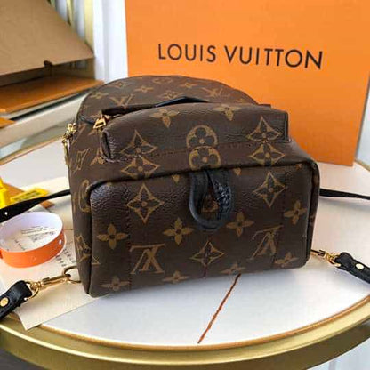 LV Palm Springs Mini Backpack - Brown
