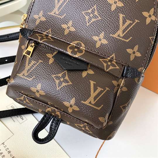 LV Palm Springs Mini Backpack - Brown