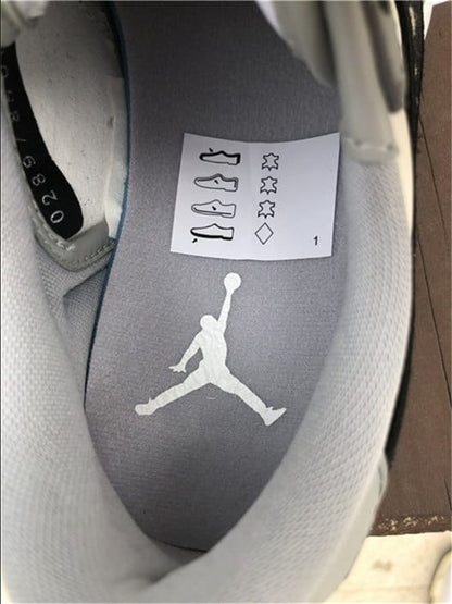 Nike Air Jordan 1 Low - Dior