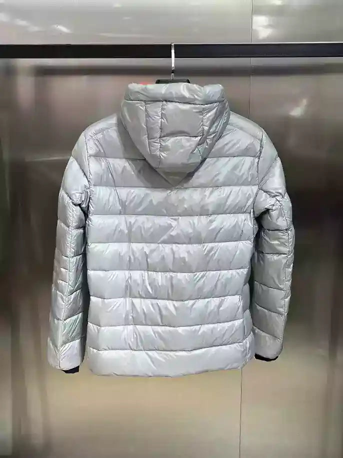 Canada Goose Coat - Silver