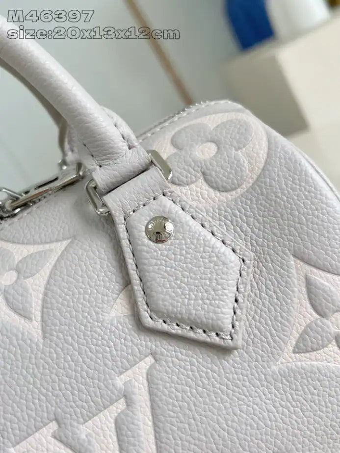 LV Speedy Bandouliere Bag - Grey
