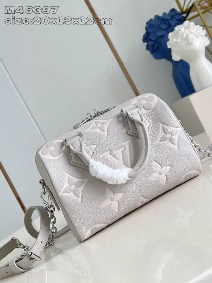 LV Speedy Bandouliere Bag - Grey