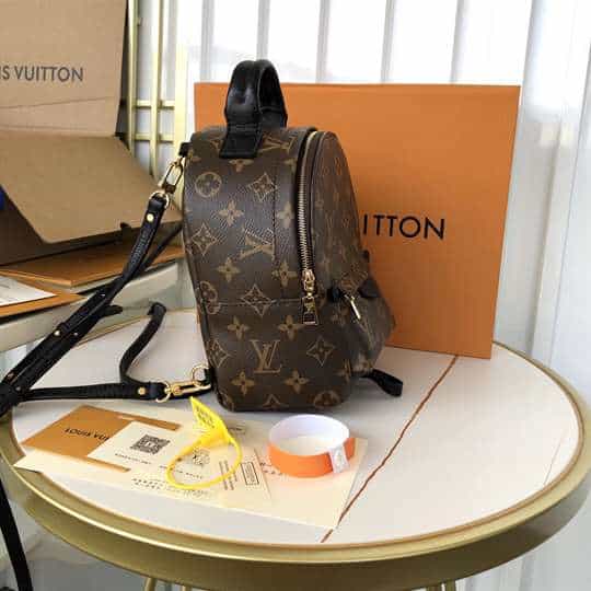 LV Palm Springs Mini Backpack - Brown