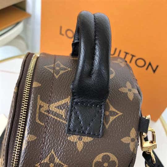 LV Palm Springs Mini Backpack - Brown