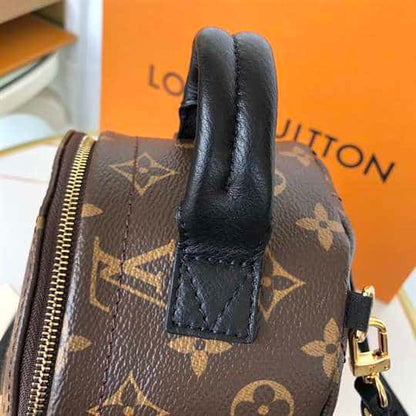 LV Palm Springs Mini Backpack - Brown