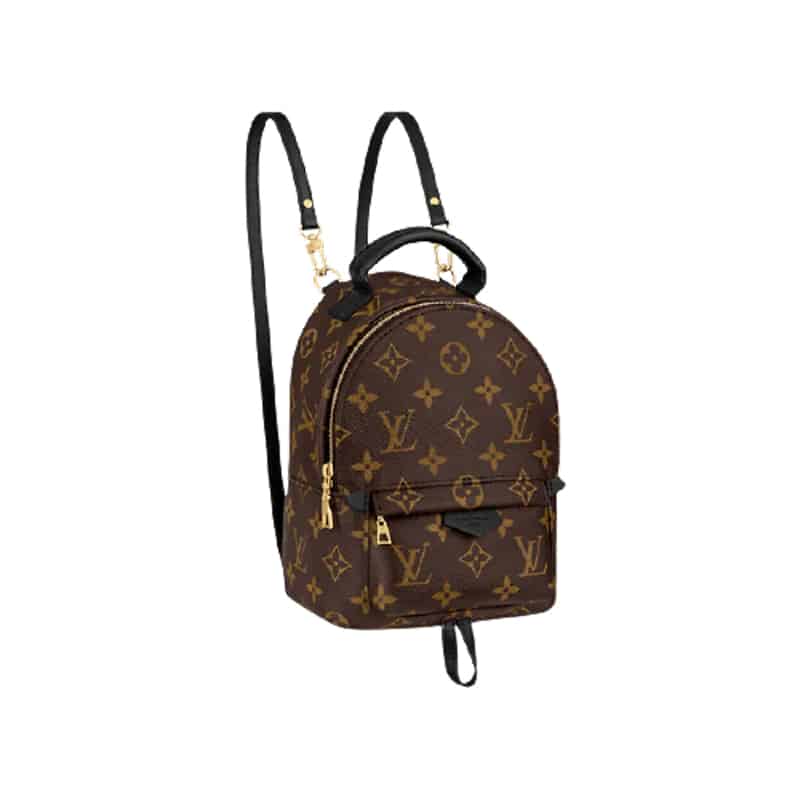 LV Palm Springs Mini Backpack - Brown