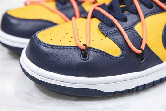Nike SB Dunk Low - White University