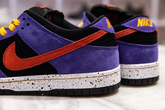 Nike SB Dunk Low - ACG Terra