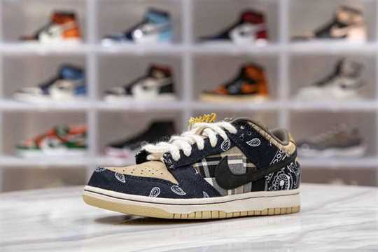 Nike Dunk SB - Travis Scott